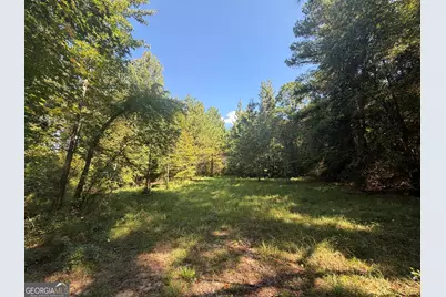 0 Highway 102, Warthen, GA 31094 - Photo 24
