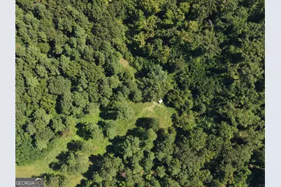 0 Highway 102, Warthen, GA 31094 - Photo 12