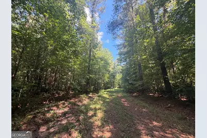 0 Highway 102, Warthen, GA 31094 - Photo 32