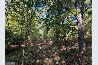 0 Highway 102, Warthen, GA 31094 - Photo 34