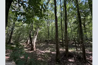 0 Highway 102, Warthen, GA 31094 - Photo 98