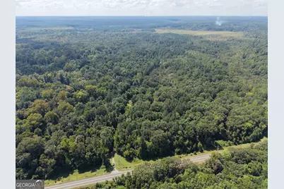 0 Highway 102, Warthen, GA 31094 - Photo 10