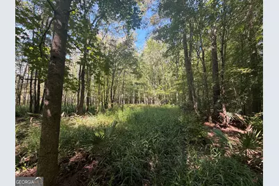 0 Highway 102, Warthen, GA 31094 - Photo 58