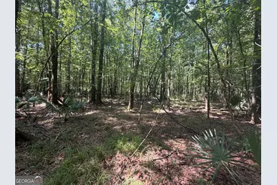 0 Highway 102, Warthen, GA 31094 - Photo 64