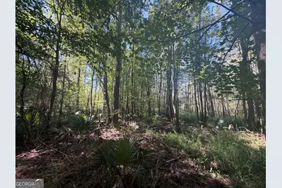 0 Highway 102, Warthen, GA 31094 - Photo 102