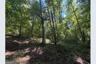 0 Highway 102, Warthen, GA 31094 - Photo 56