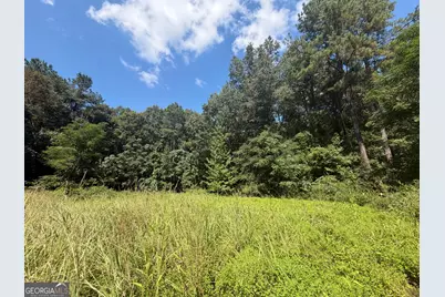 0 Highway 102, Warthen, GA 31094 - Photo 52