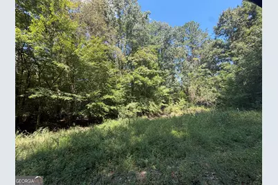 0 Highway 102, Warthen, GA 31094 - Photo 78