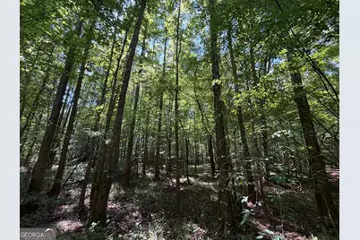 0 Highway 102, Warthen, GA 31094 - Photo 96