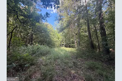 0 Highway 102, Warthen, GA 31094 - Photo 74