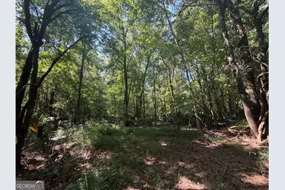 0 Highway 102, Warthen, GA 31094 - Photo 72
