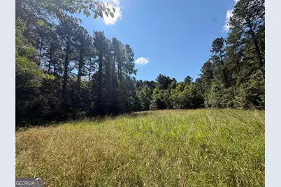 0 Highway 102, Warthen, GA 31094 - Photo 90