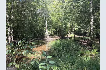 0 Highway 102, Warthen, GA 31094 - Photo 68