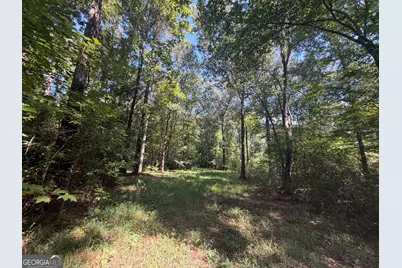 0 Highway 102, Warthen, GA 31094 - Photo 82