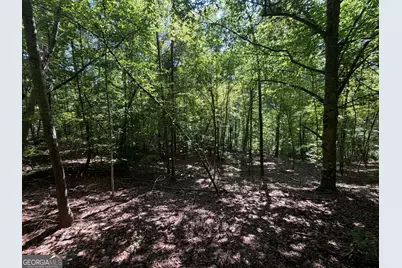 0 Highway 102, Warthen, GA 31094 - Photo 46