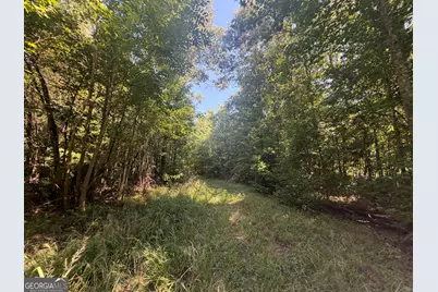 0 Highway 102, Warthen, GA 31094 - Photo 30