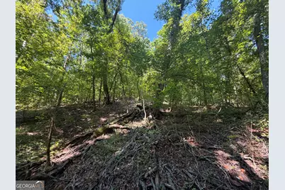 0 Highway 102, Warthen, GA 31094 - Photo 50