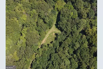 0 Highway 102, Warthen, GA 31094 - Photo 6