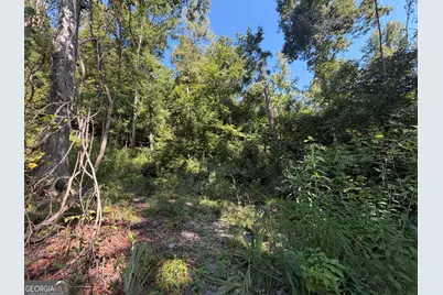 0 Highway 102, Warthen, GA 31094 - Photo 48