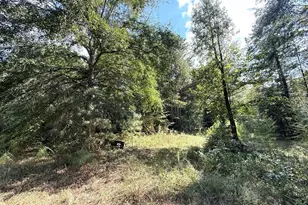 2594 Hughes Rd, Bowman, GA 30624 - Photo 24