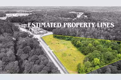 0 Poplar Road, Sharpsburg, GA 30277 - Photo 6