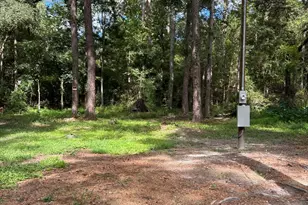 Lot 63 Wayside Turn, Midway, GA 31320 - Photo 1