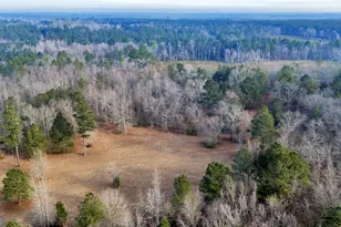 241 Foskey Cemetary Rd, Adrian, GA 31002 - Photo 68