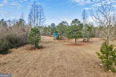 241 Foskey Cemetary Road, Adrian, GA 31002 - Photo 26