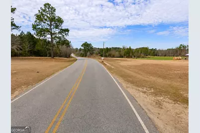 23.03 Acres Carters Bridge Road, Claxton, GA 30417 - Photo 6
