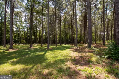 4079 Primrose Road, Grantville, GA 30220 - Photo 40