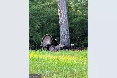 35 Prayer Trail, Aragon, GA 30104 - Photo 56