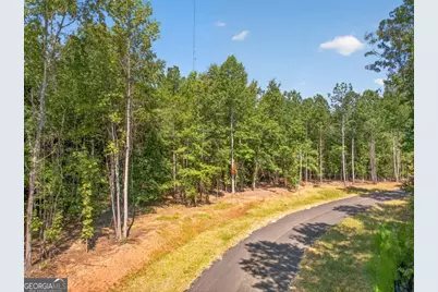 5557 Shadburn Ferry Road #LOT 4, Buford, GA 30518 - Photo 6