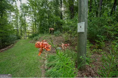 285 Dollar Road, Hamilton, GA 31811 - Photo 8
