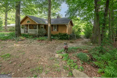 285 Dollar Road, Hamilton, GA 31811 - Photo 16