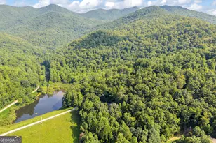 549 Travaden Trail, Hiawassee, GA 30546 - Photo 32
