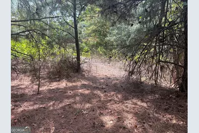 L12 N Indian Trail Road, Sandersville, GA 31082 - Photo 2