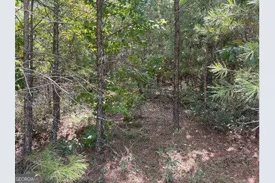 L12 N Indian Trail Road, Sandersville, GA 31082 - Photo 10