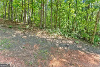 786 Cherry Court #718, Clarkesville, GA 30523 - Photo 20
