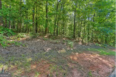 786 Cherry Court #718, Clarkesville, GA 30523 - Photo 10