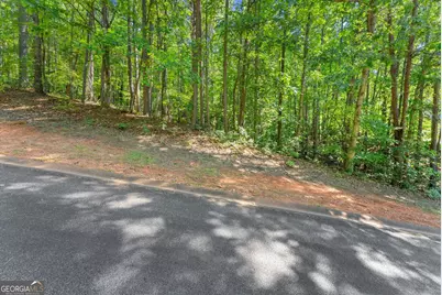 786 Cherry Court #718, Clarkesville, GA 30523 - Photo 12