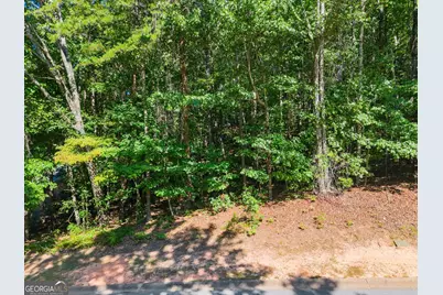 786 Cherry Court #718, Clarkesville, GA 30523 - Photo 8