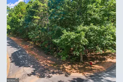 786 Cherry Court #718, Clarkesville, GA 30523 - Photo 6