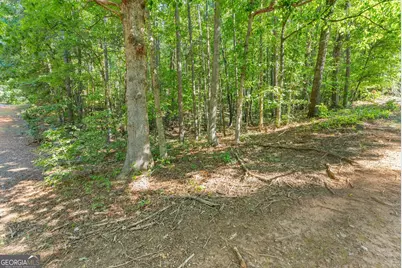 786 Cherry Court #718, Clarkesville, GA 30523 - Photo 18