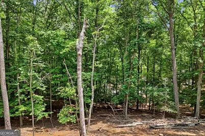 1883 Newport Drive #1868, Ellijay, GA 30540 - Photo 40