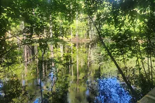 0 Hwy 142, Newborn, GA 30056 - Photo 1