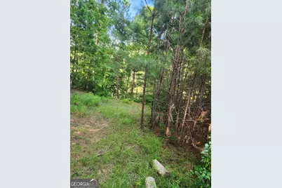 0 Hwy 142, Newborn, GA 30056 - Photo 6