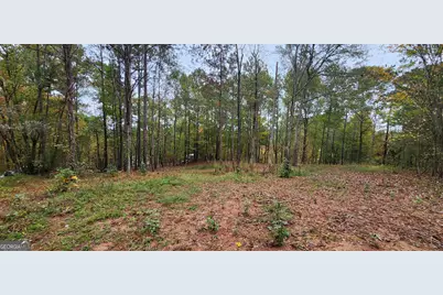 18 E Mourning Dove Court, Monticello, GA 31064 - Photo 4