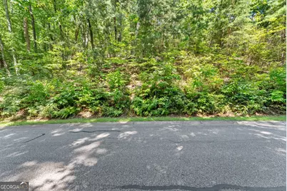 0 Raspberry Lane #1502, Clarkesville, GA 30523 - Photo 12