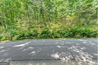 0 Raspberry Lane #1502, Clarkesville, GA 30523 - Photo 4