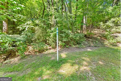 0 Raspberry Lane #1502, Clarkesville, GA 30523 - Photo 8